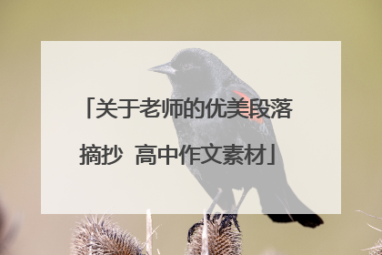 关于老师的优美段落摘抄 高中作文素材