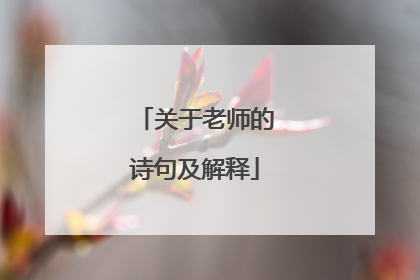 关于老师的诗句及解释