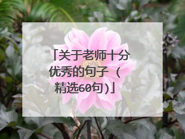 关于老师十分优秀的句子 (精选60句)