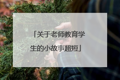 关于老师教育学生的小故事超短