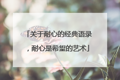 关于耐心的经典语录,耐心是希望的艺术