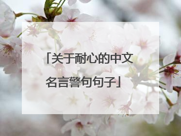 关于耐心的中文名言警句句子