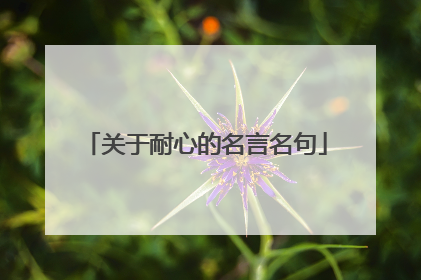 关于耐心的名言名句