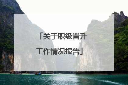 关于职级晋升工作情况报告