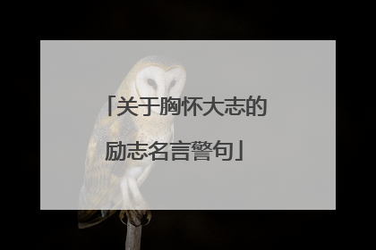 关于胸怀大志的励志名言警句