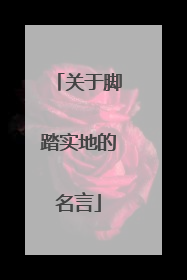 关于脚踏实地的名言