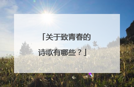 关于致青春的诗歌有哪些?
