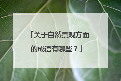 关于自然景观方面的成语有哪些？