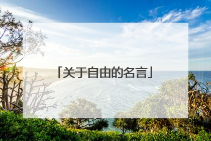 关于自由的名言