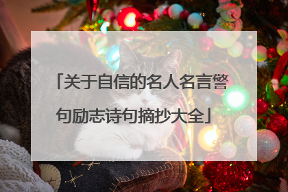关于自信的名人名言警句励志诗句摘抄大全
