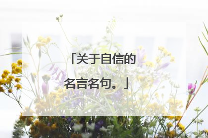 关于自信的名言名句。