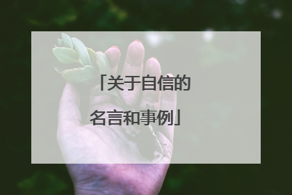 关于自信的名言和事例
