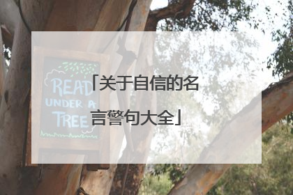 关于自信的名言警句大全