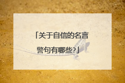 关于自信的名言警句有哪些?