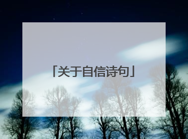 关于自信诗句