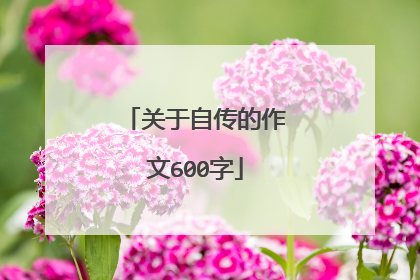关于自传的作文600字