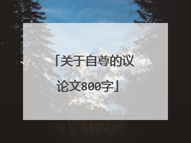 关于自尊的议论文800字