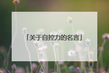 关于自控力的名言