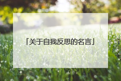 关于自我反思的名言