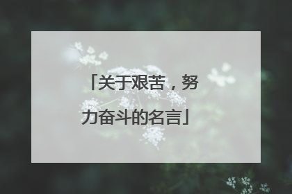关于艰苦,努力奋斗的名言