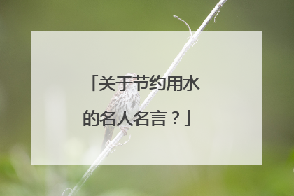 关于节约用水的名人名言?