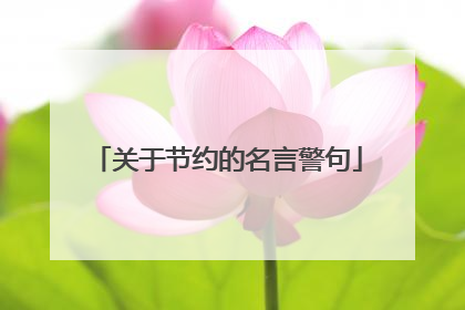 关于节约的名言警句