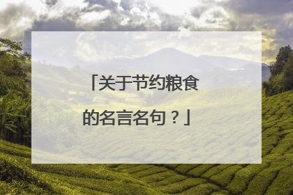 关于节约粮食的名言名句?