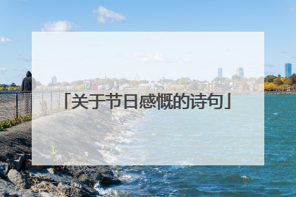 关于节日感慨的诗句