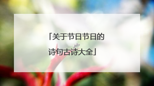 关于节日节日的诗句古诗大全