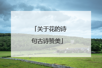 关于花的诗句古诗赞美