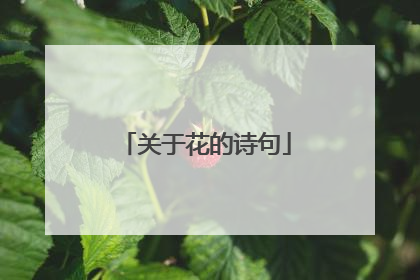 关于花的诗句