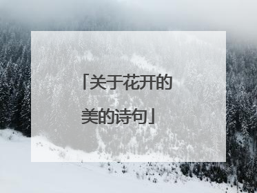 关于花开的美的诗句