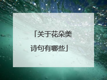 关于花朵美诗句有哪些