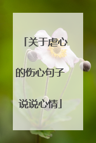 关于虐心的伤心句子说说心情