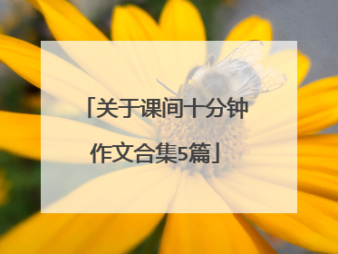 关于课间十分钟作文合集5篇