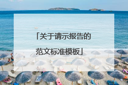 关于请示报告的范文标准模板