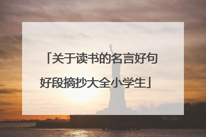 关于读书的名言好句好段摘抄大全小学生