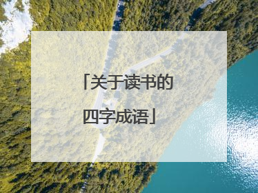 关于读书的四字成语