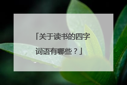 关于读书的四字词语有哪些?