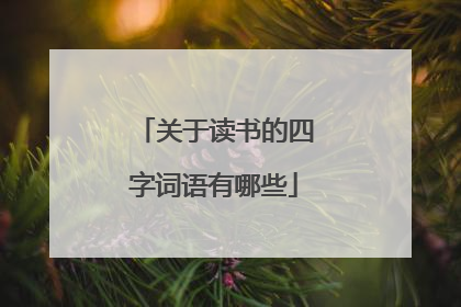 关于读书的四字词语有哪些