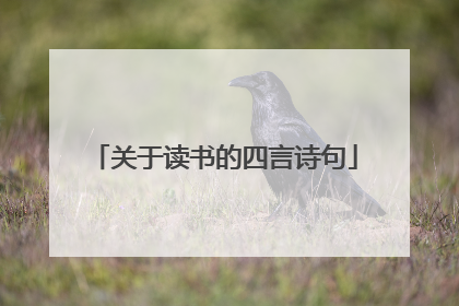 关于读书的四言诗句
