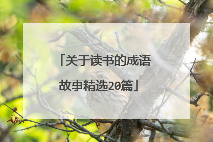 关于读书的成语故事精选20篇