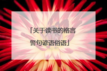 关于读书的格言警句谚语俗语