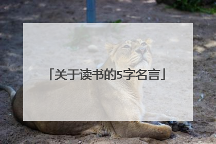 关于读书的5字名言