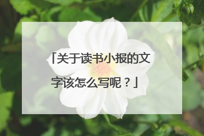 关于读书小报的文字该怎么写呢?