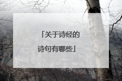 关于诗经的诗句有哪些