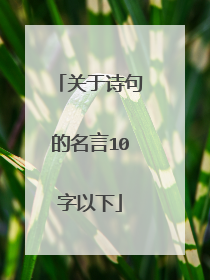关于诗句的名言10字以下
