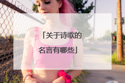 关于诗歌的名言有哪些