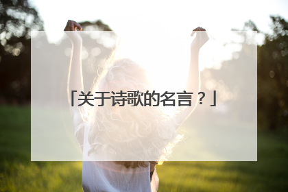 关于诗歌的名言?