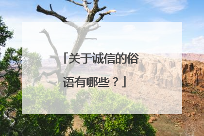 关于诚信的俗语有哪些？